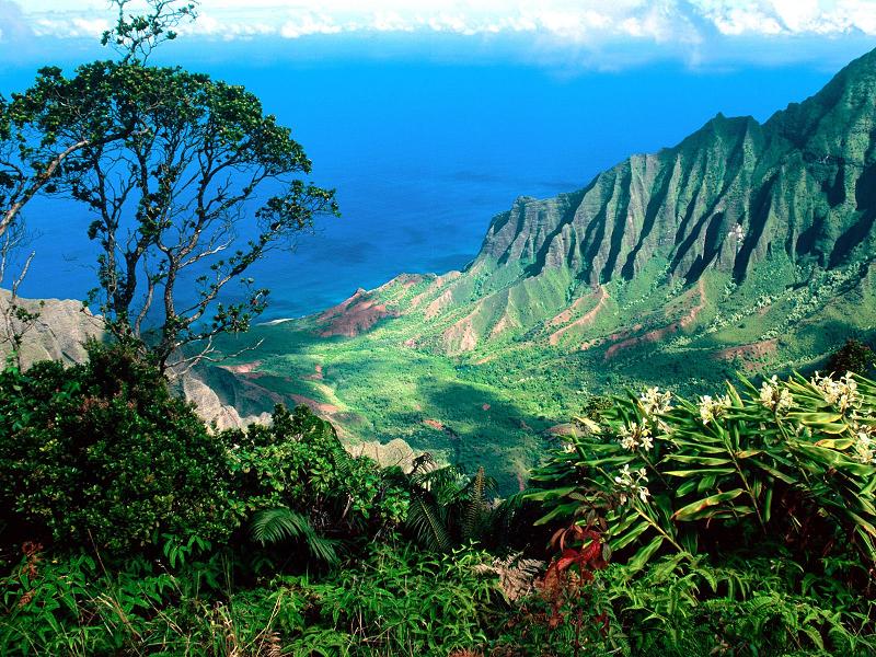 Espectacular grandeza natural de la costa y las montañas volcánicas de Hawaii HAWAII CRUCEROS PACIFICO OFERTAS DESCUENTOS
